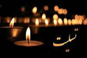تسلیت به جناب دکتر علیرضا رفیعی پور